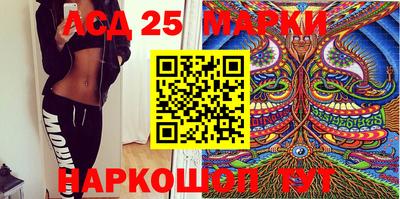 гидра Будённовск