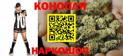 гидра Будённовск
