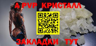 гидра Будённовск