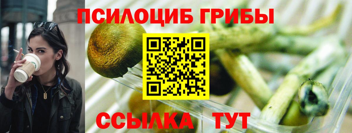 Псилоцибиновые грибы мухоморы Махачкала
